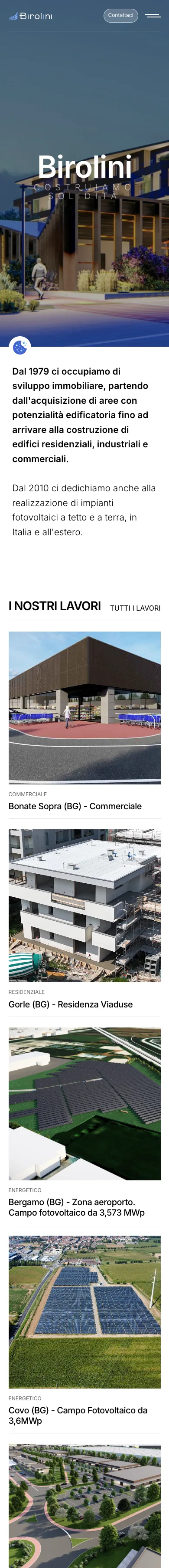 Anteprima mobile del sito Birolini